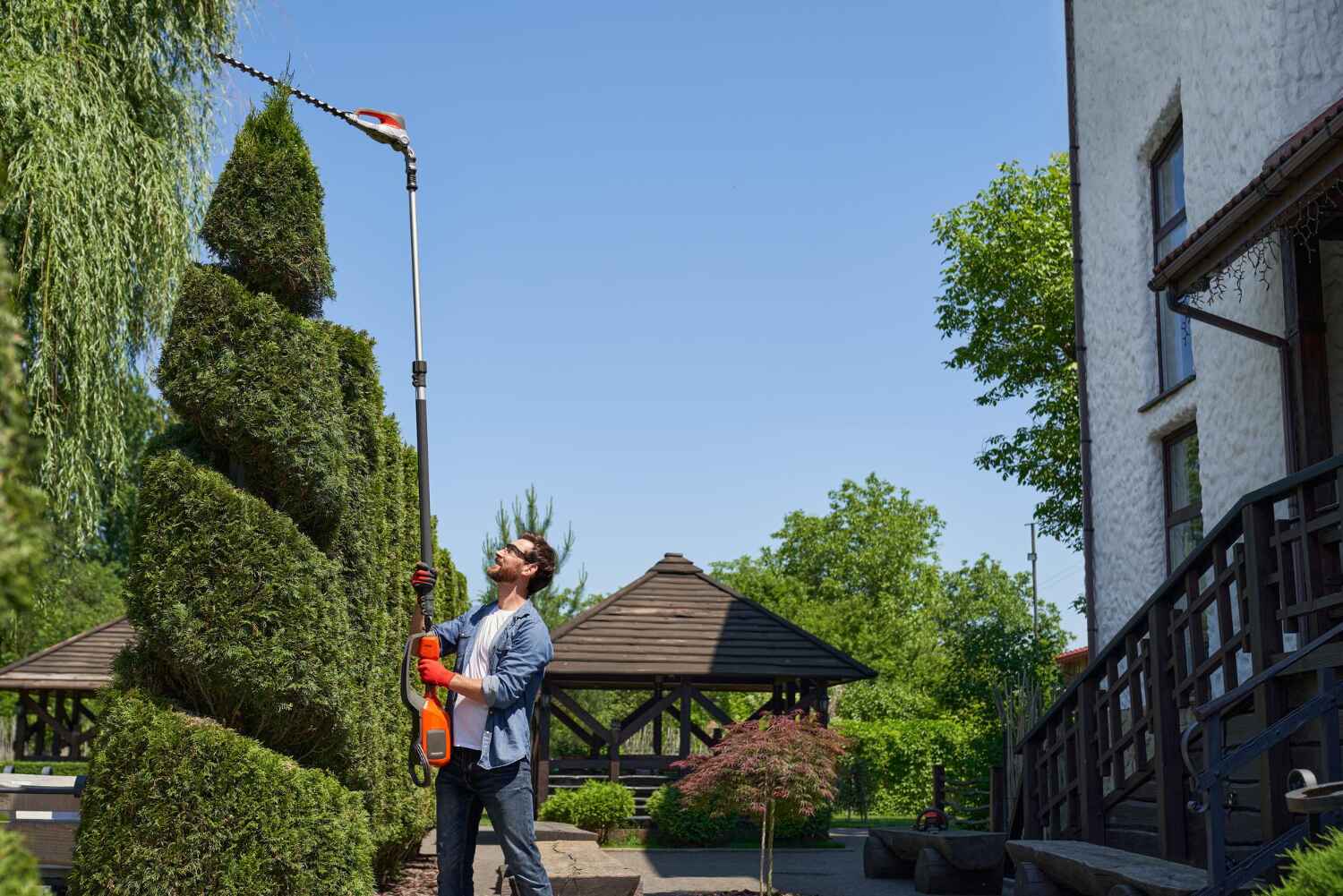 Professional Tree Service in Gibbsboro, NJ